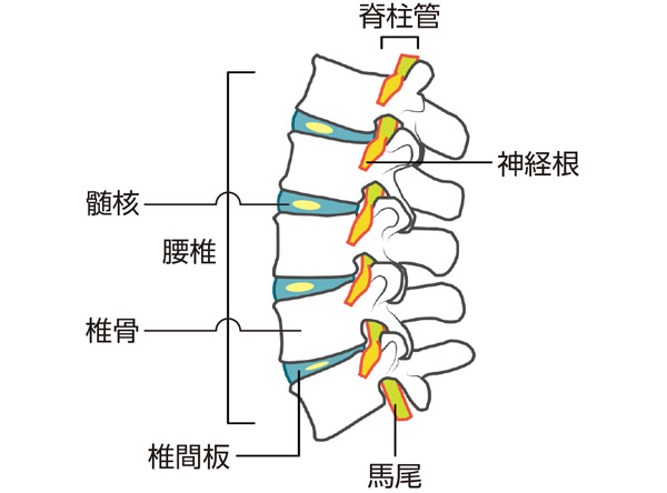Nikon F6 腰痛持ちの店長 My フラッグシップ列伝Nikon F6 - YouTube