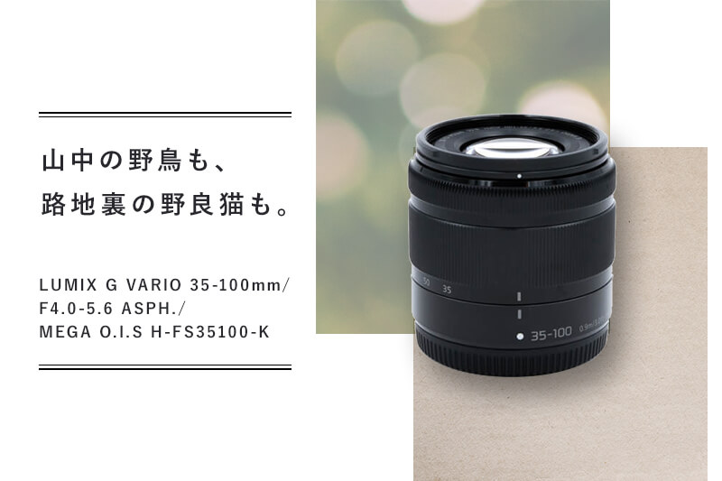 LUMIX G VARIO 35-100mm/F4.0-5.6 ASPH./MEGA O.I.S H-FS35100-K