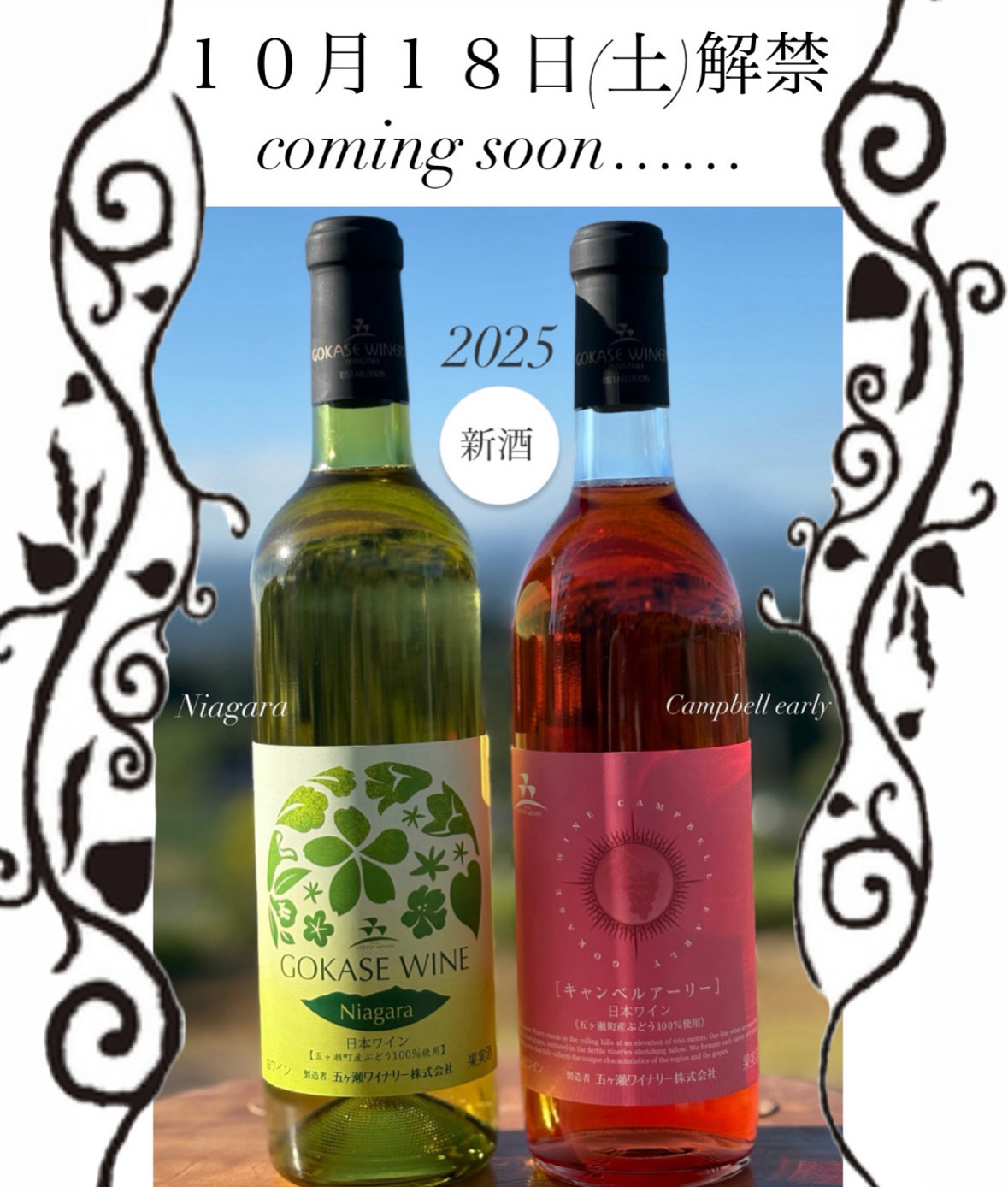 2025年産新酒ナイアガラ・キャンベルアーリーが10月18日解禁になります！