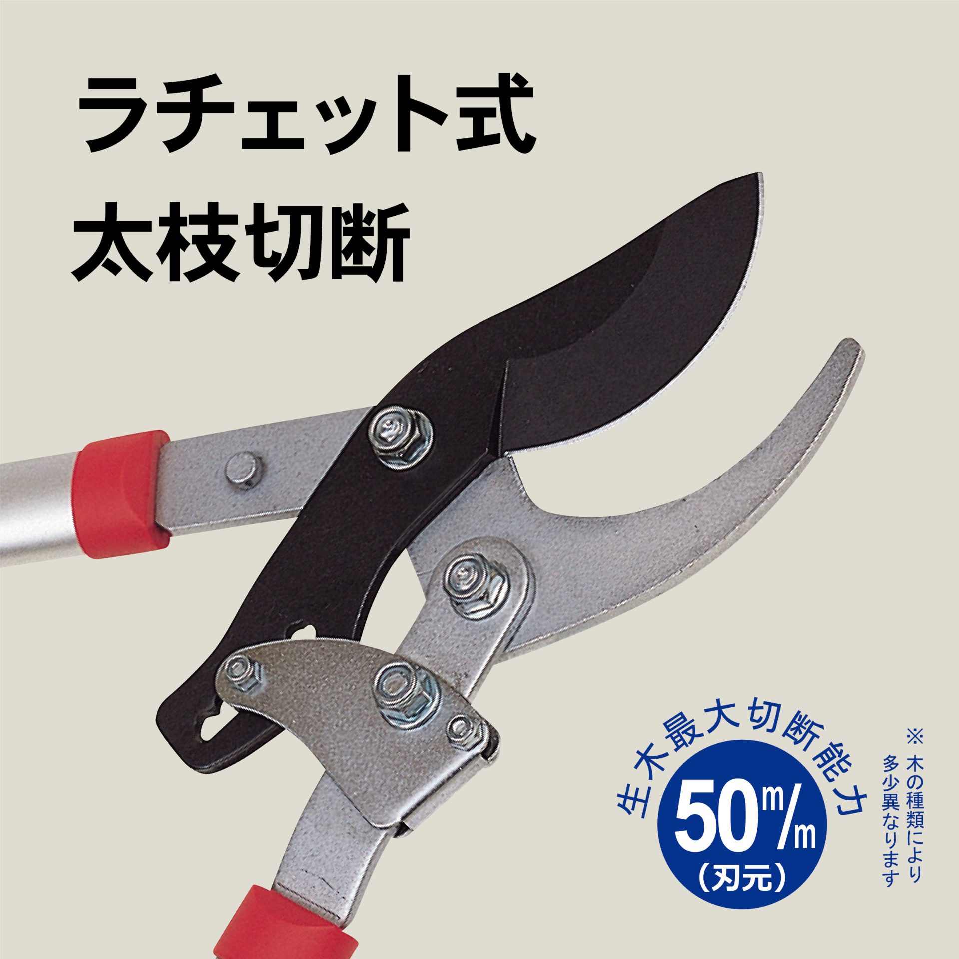 2044 - キンボシ株式会社