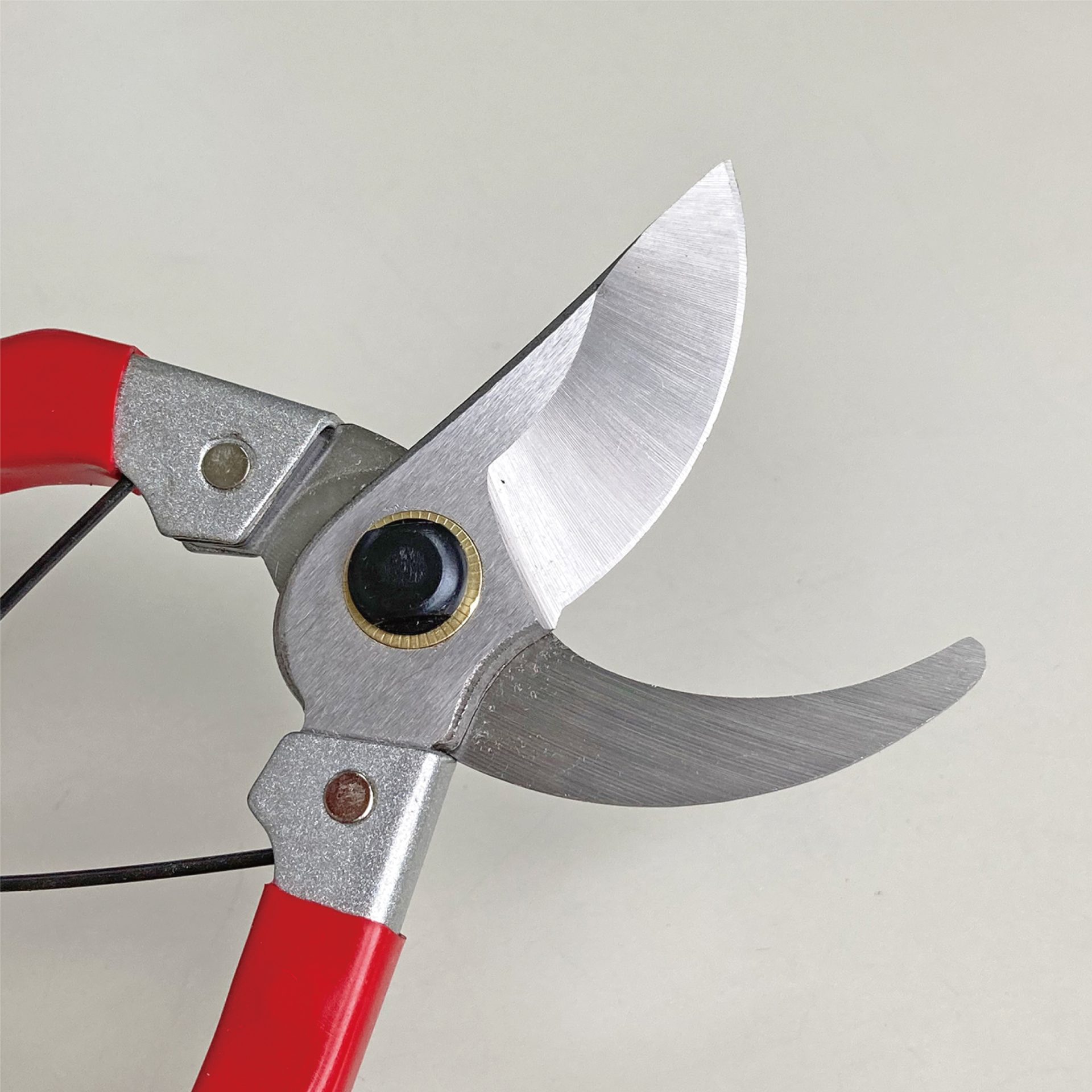 2246 - キンボシ株式会社