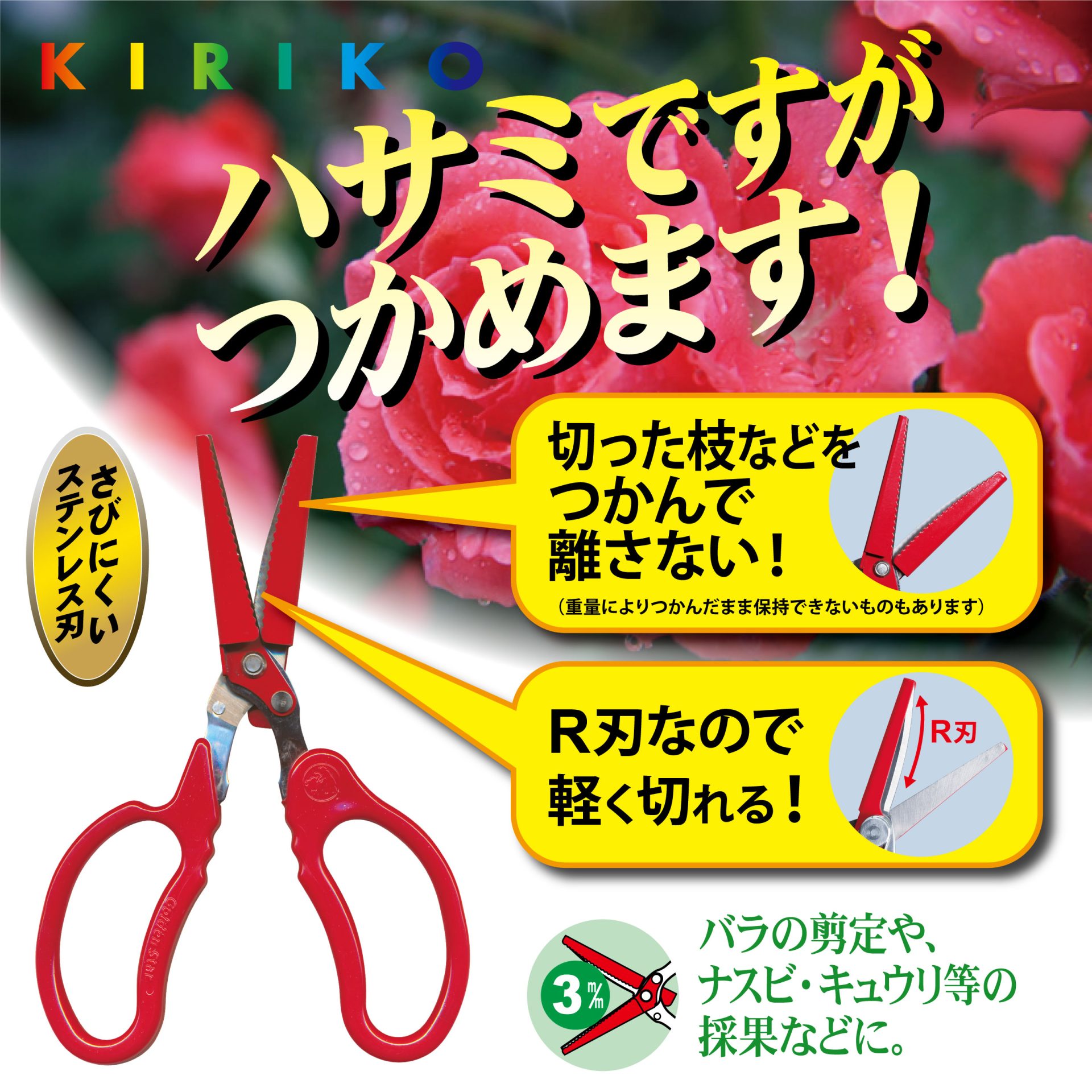 2319 - キンボシ株式会社