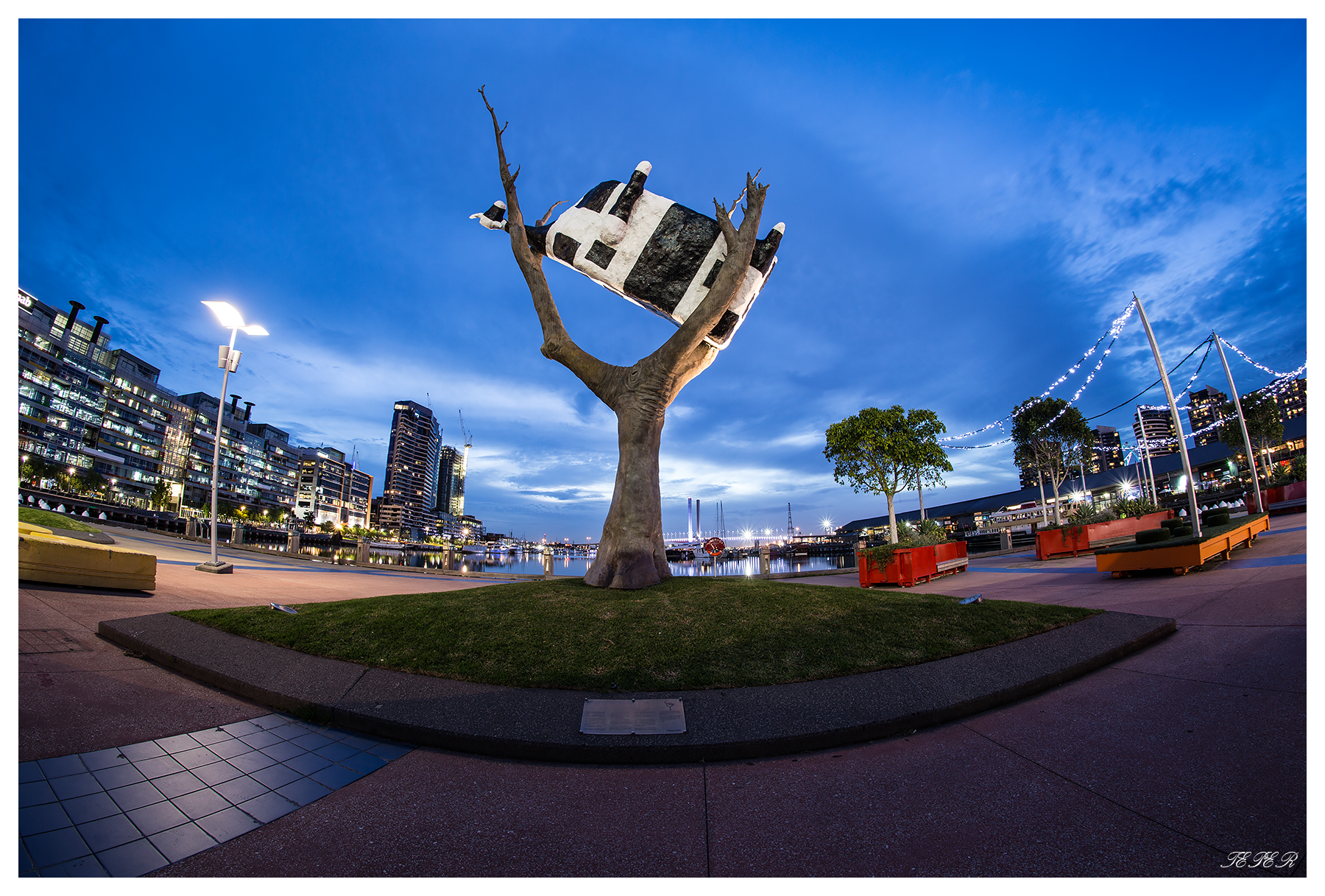 Samyang 12mm f2.8 ED AS NCS Fisheye Review | GORM TEPER