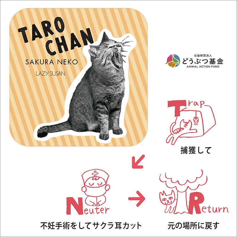 ネコグッズ】野良猫「タロちゃん」のいちばん可愛い瞬間を描いたトート