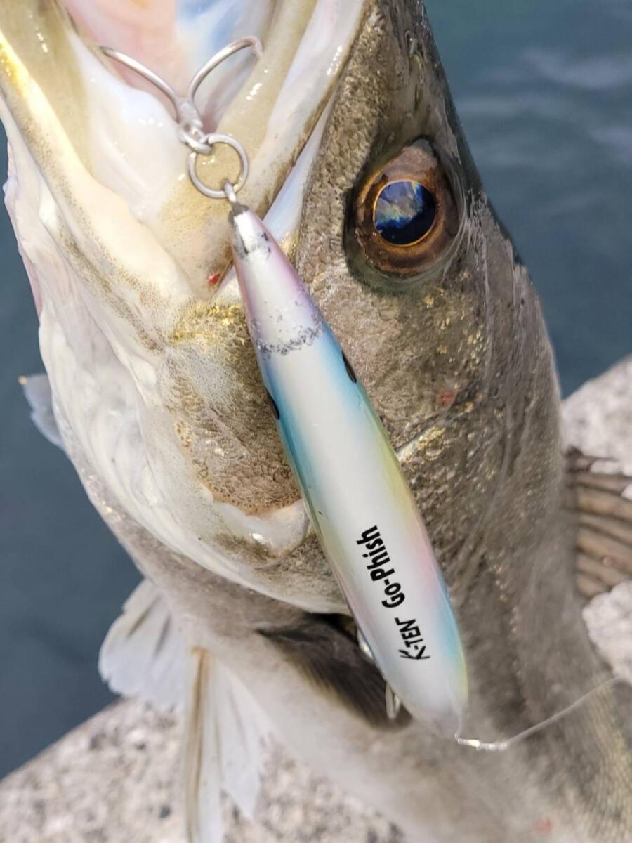 TheTakeBacker10S‼ | Go-Phish