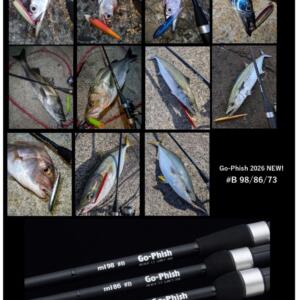 アジアングラーは是非読んでください！！…ul6 Rocksteady torzite詳細