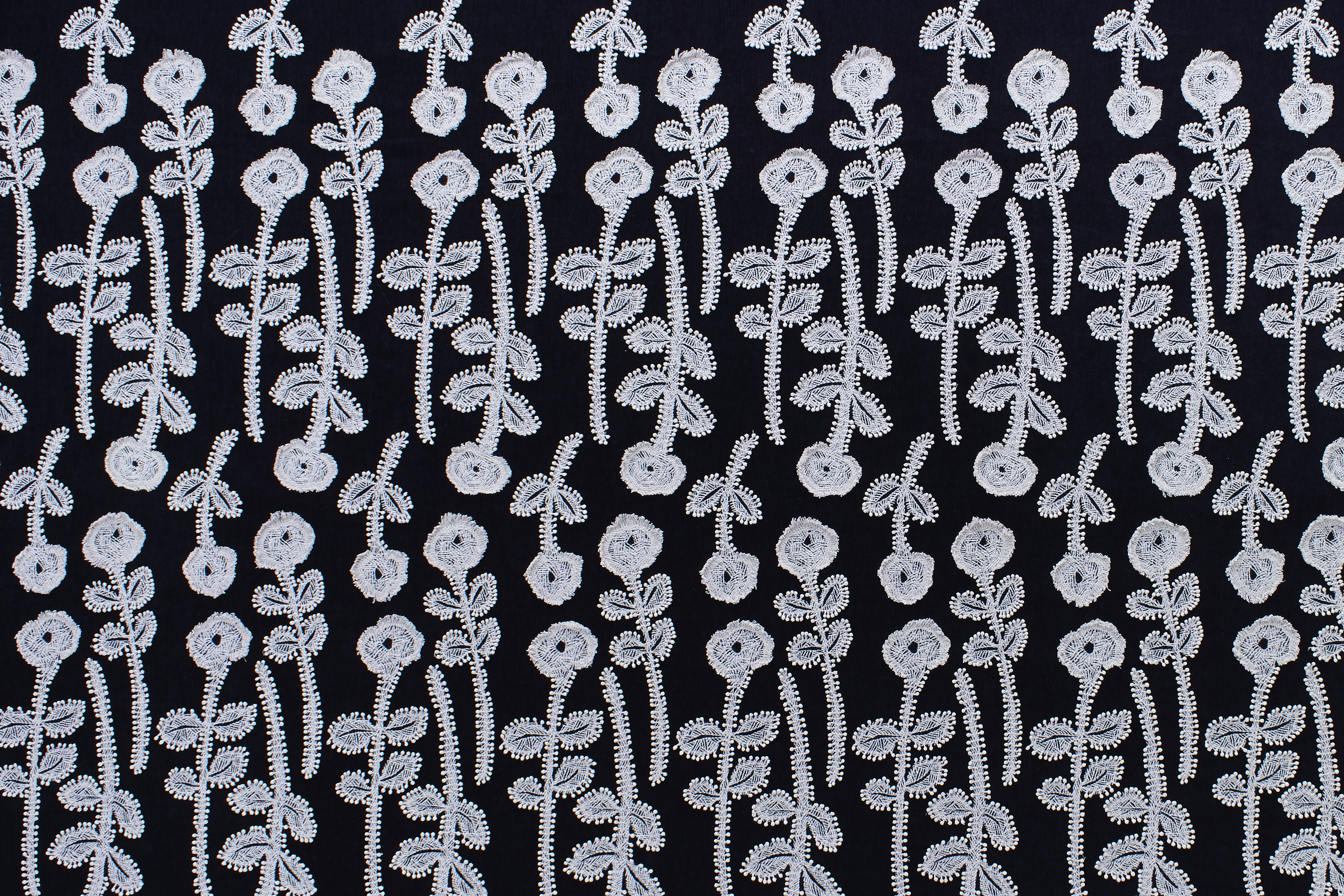 frost garden - minä perhonen