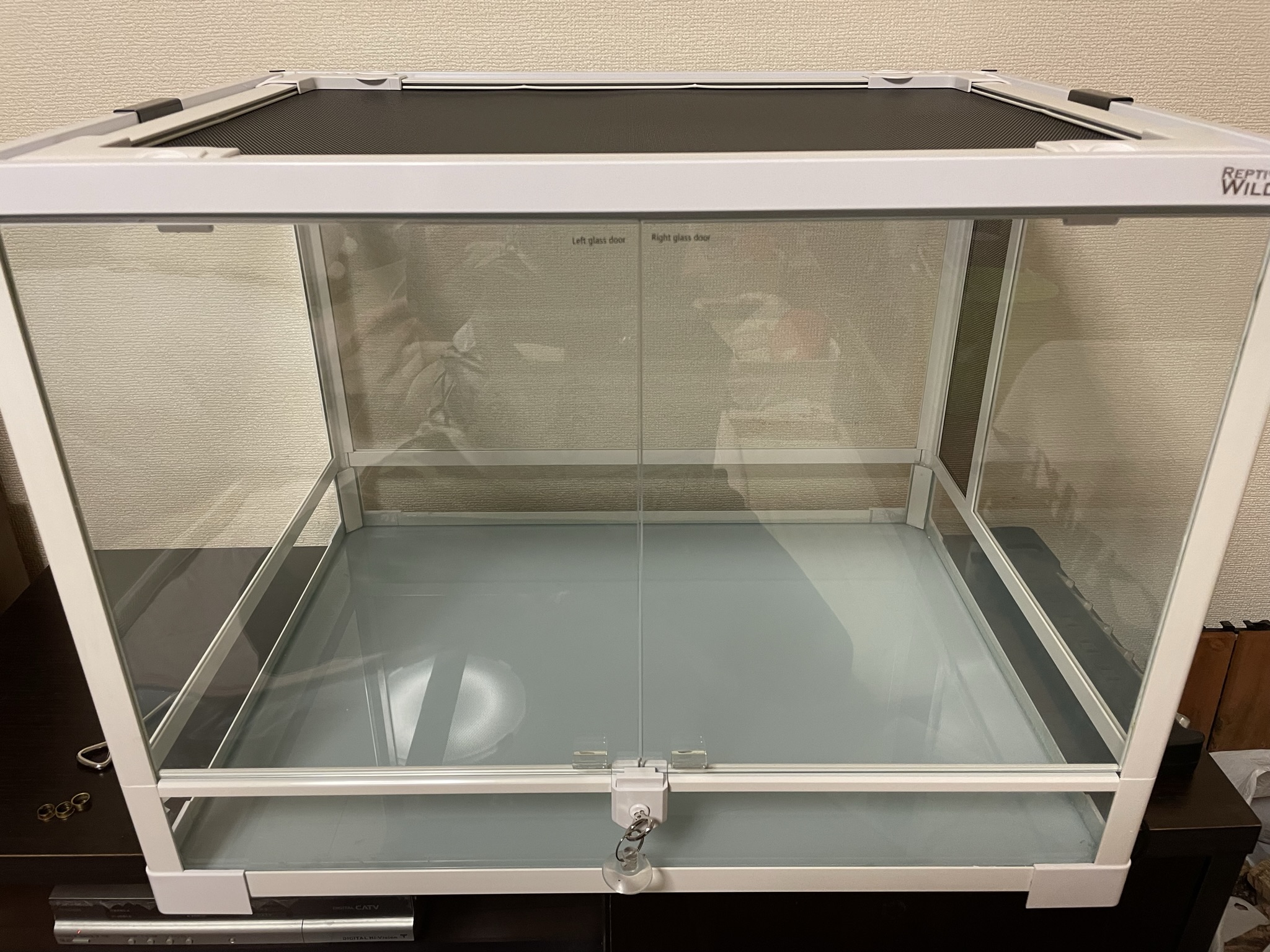 パンテオン カノン6045をレビュー】初心者におすすめの飼育ケージ