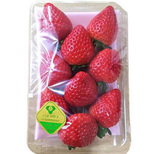 栃木県産ファーム大越 宇南プレミアムいちご(とちあいか) 280g Green