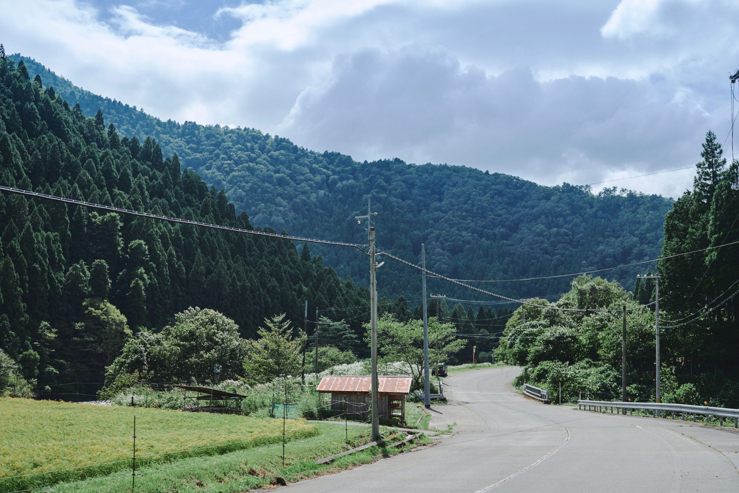 エコバッグや紙ストローよりも“本質的な一歩”を実践してほしい。都会