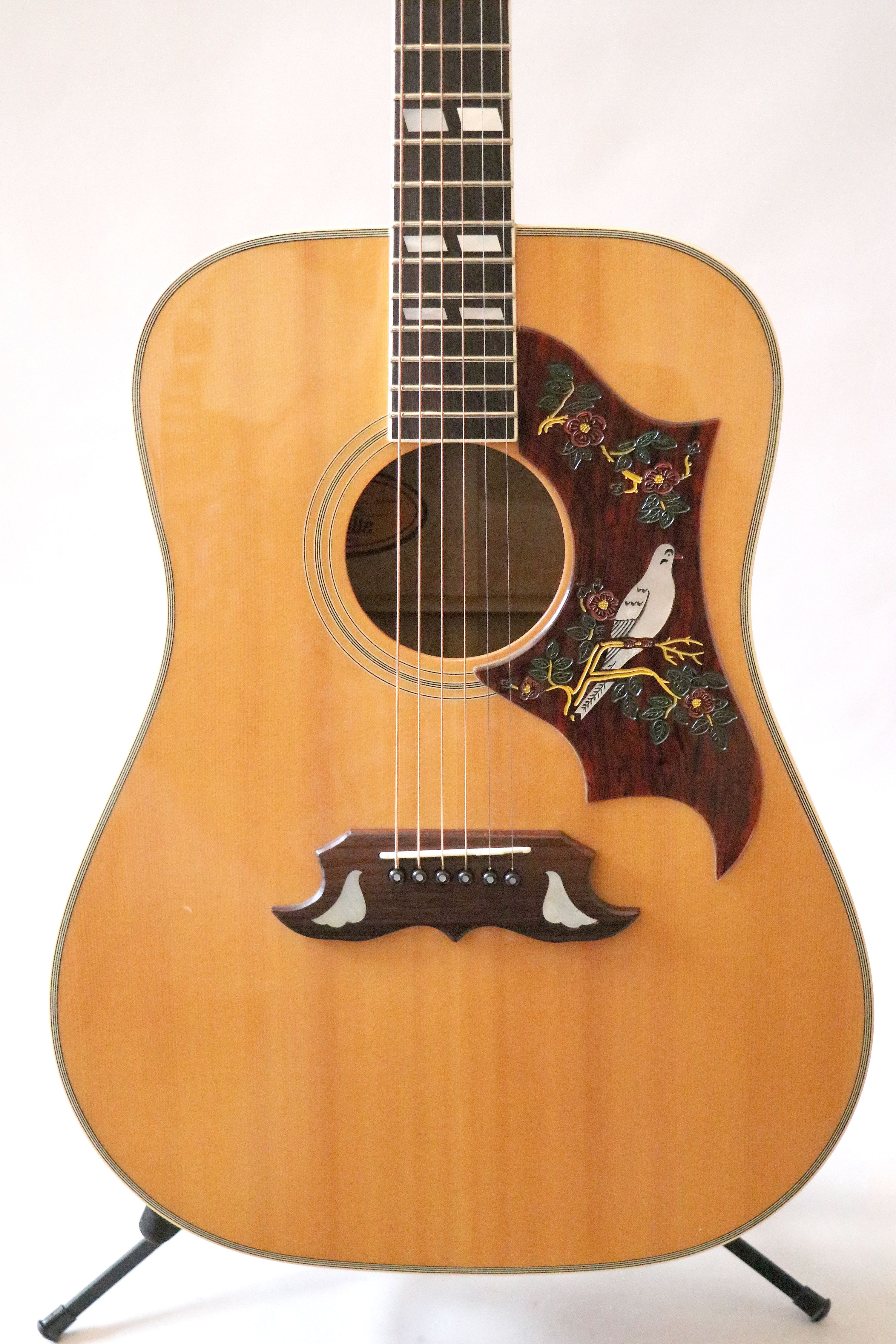 Orville by Gibson Dove – The Guitar Colonel