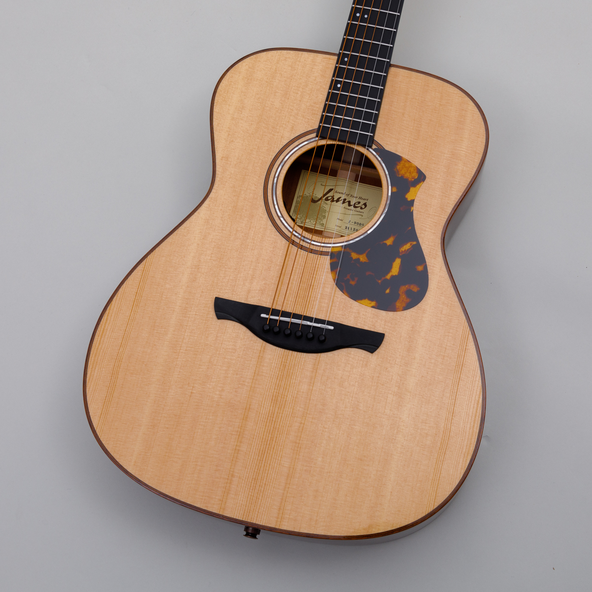 James J-900/S & L｜オール単板で生のトーンからアンプにつないだ