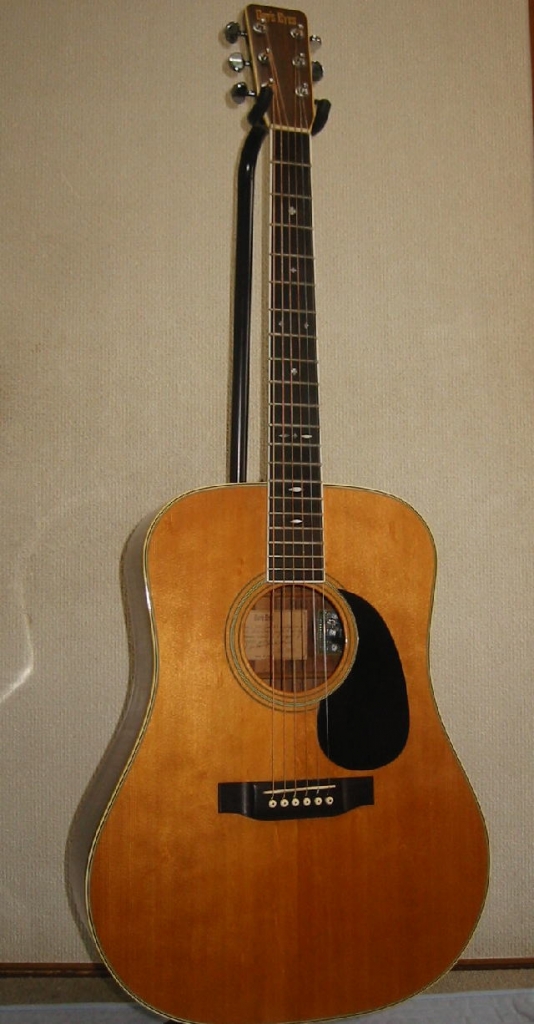 Cat's Eyes CE-600 | 酒井 誠・ギタリスト Makoto Sakai