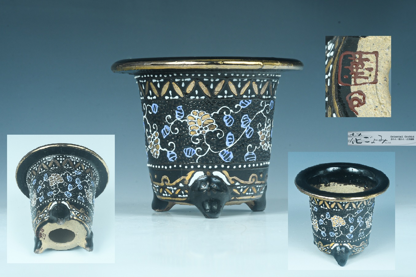 加茂黒釉・古鉢写し寸胴京樂錦鉢 - 東洋蘭専門店 花ごよみ | 春蘭