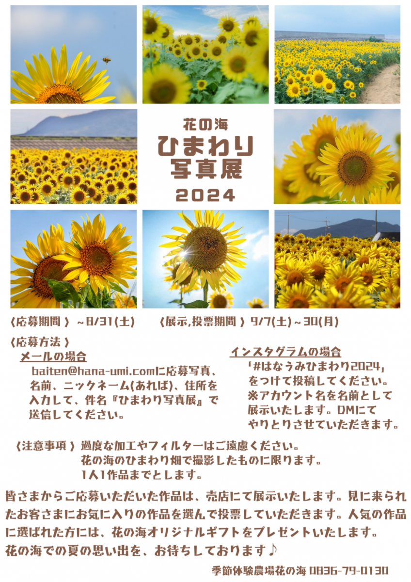 ひまわり写真展2024 | 花の海（西日本最大級のシステム農場）