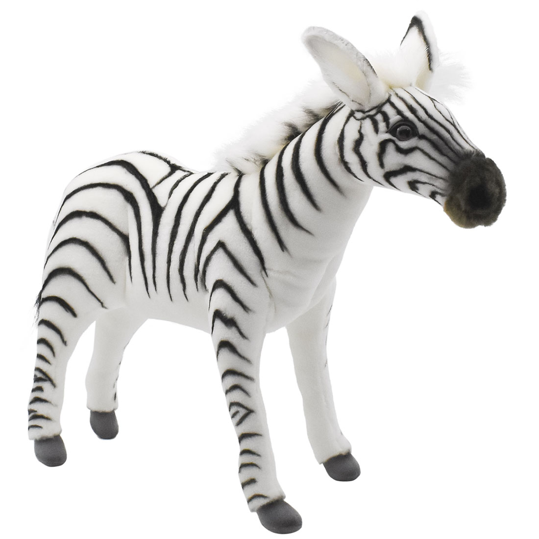 シマウマ 48 | HANSA