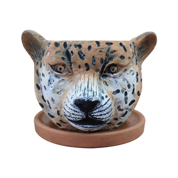 cc060_21_700x.jpg?v=1668223976