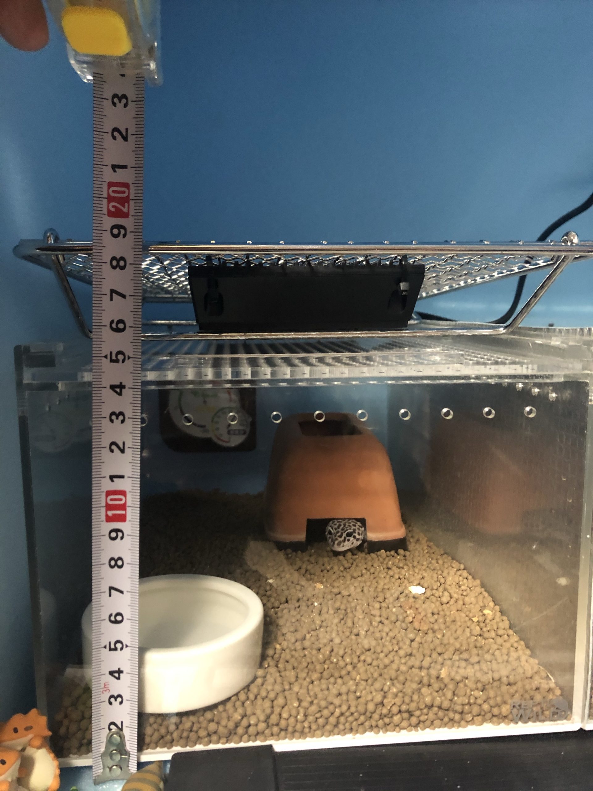 レプタイルボックスに設置するヒーティングトップの最適距離は何cm