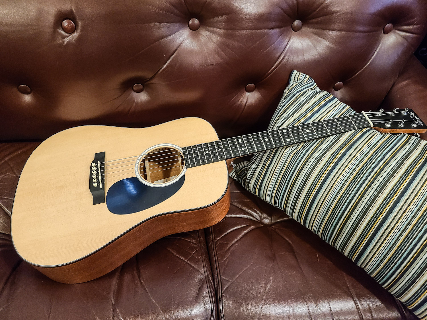 Martin『DJR-10-02』 ミニアコースティックギター (スプルース単板