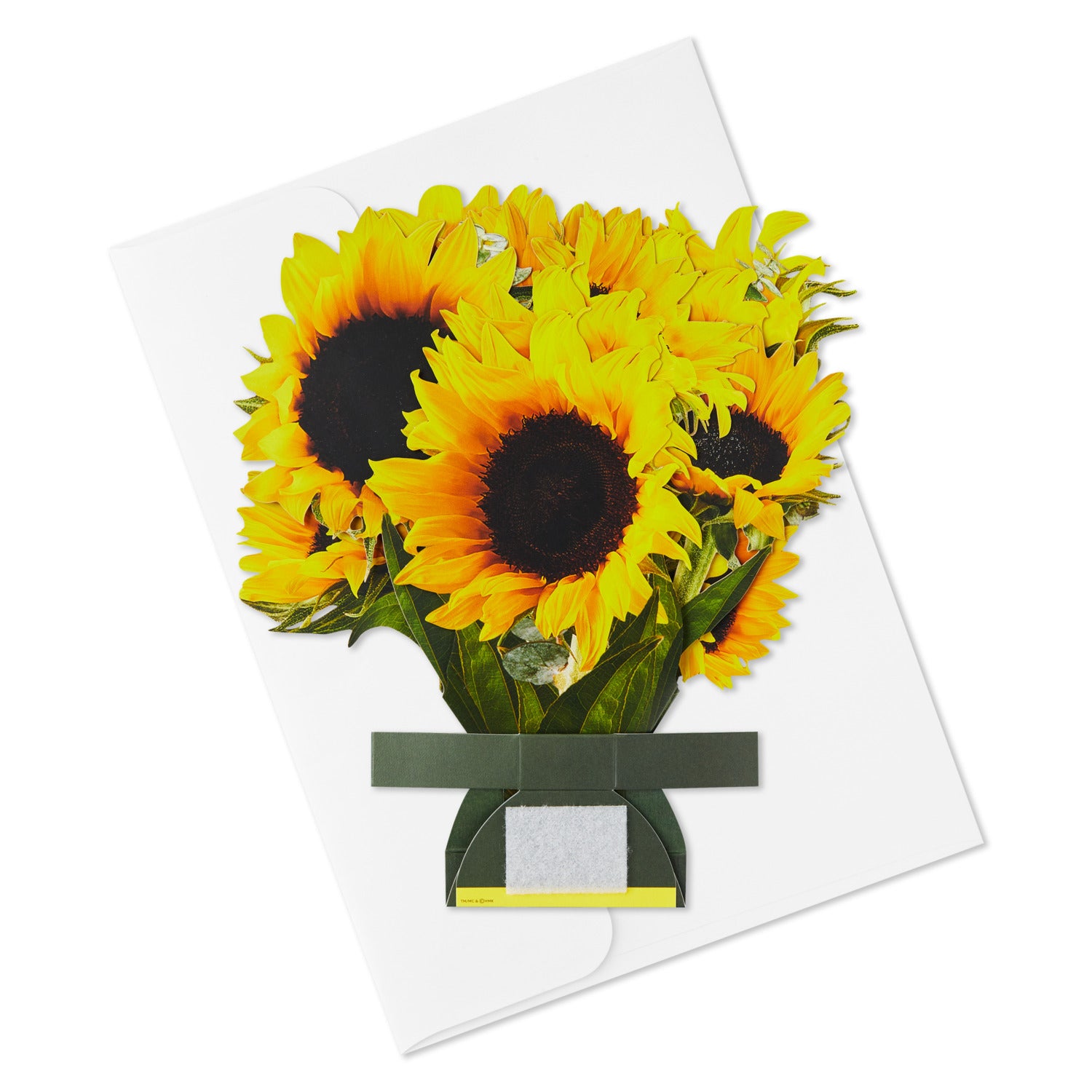 843861_3.jpg?v=1734414613&