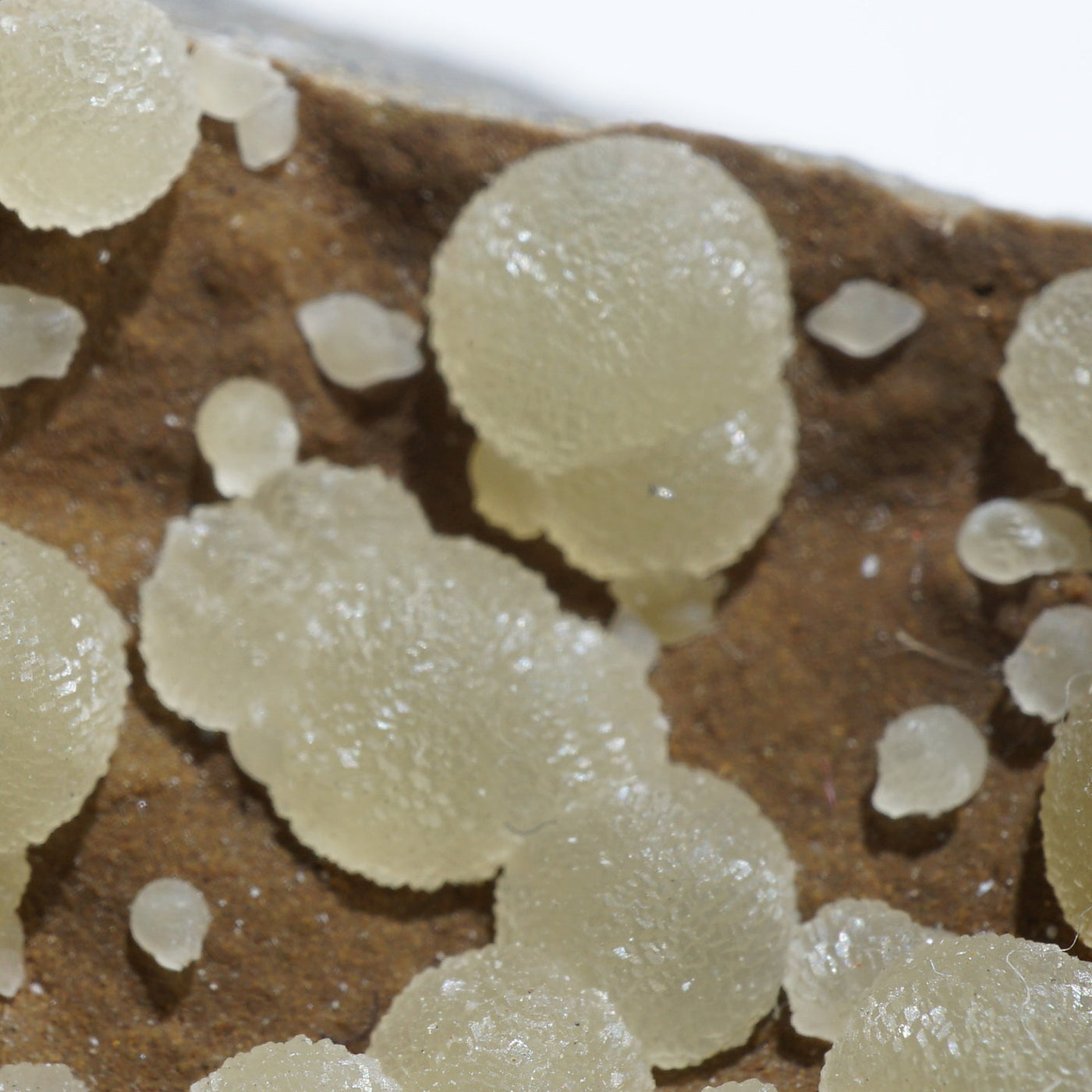 イタリア産 カルサイト – 天然石ハッピーギフト