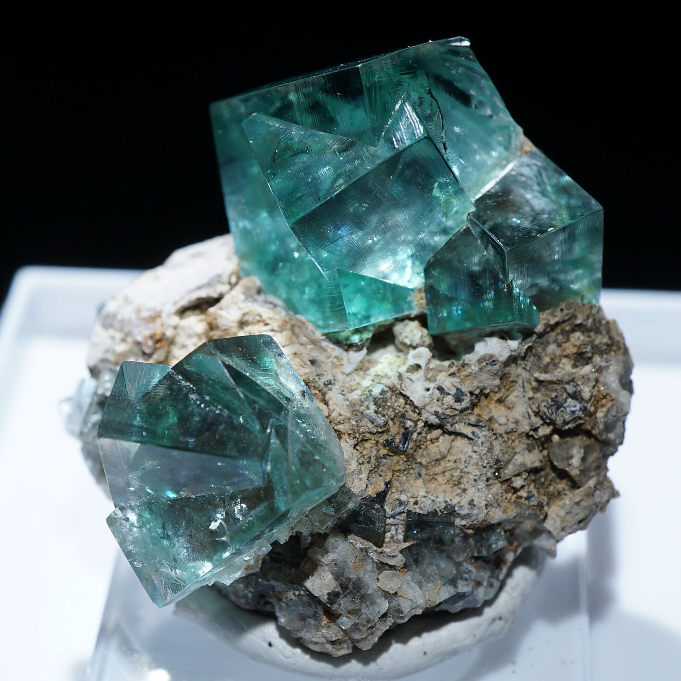 貴重！ ムラヴィンスキーの遺産 12CD 貴重！ ムラヴィンスキーの遺産