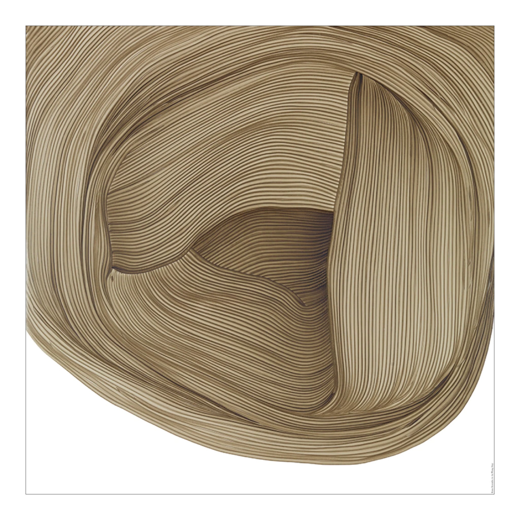 Bouroullec Drawing 5 / Brown by The Wrong Shop — haus®