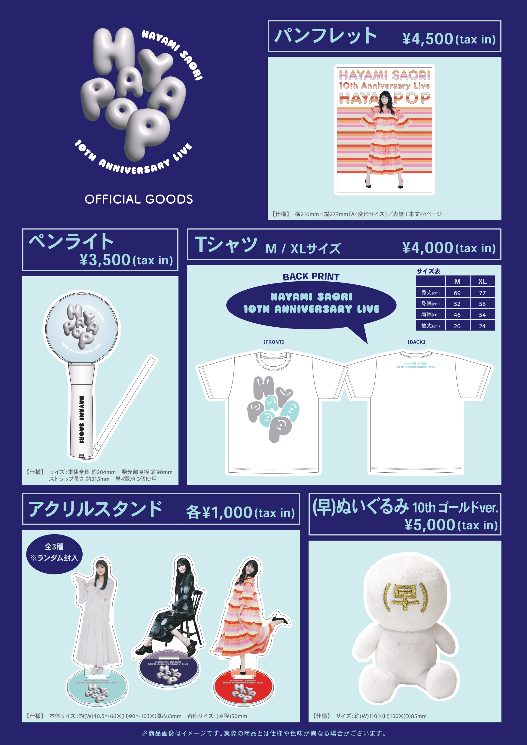 HAYAMI SAORI 10th Anniversary Live 