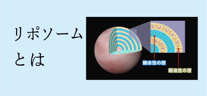 hbi｜美容カイロプラクティック » メディカルセラムシリーズ
