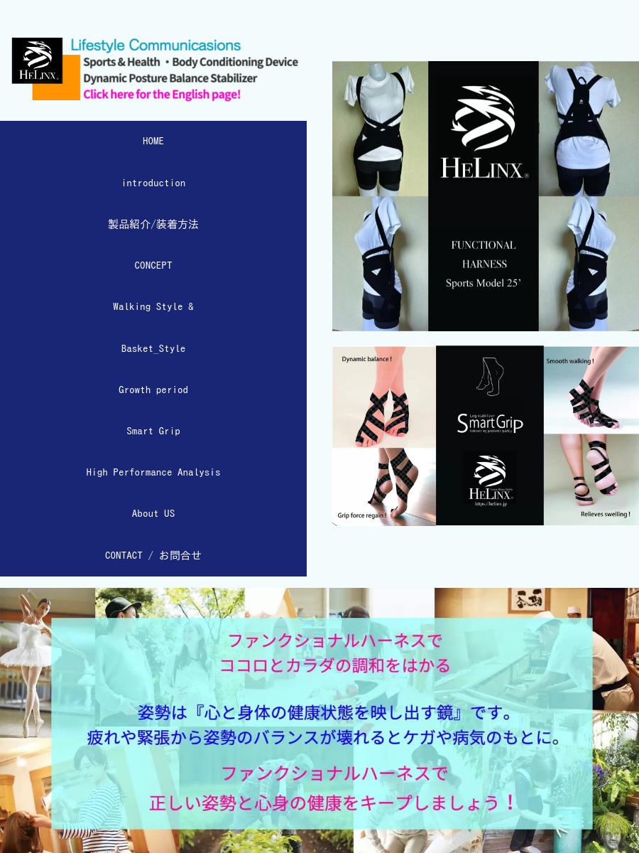 ファンクショナルハーネス