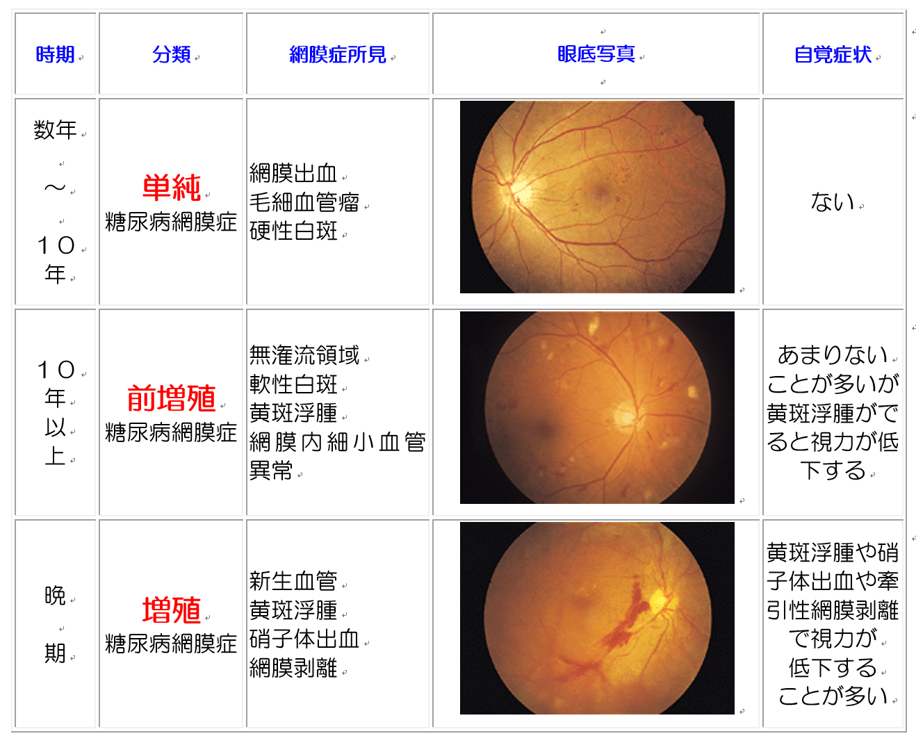 糖尿病網膜症治療 | 東村山えのき眼科