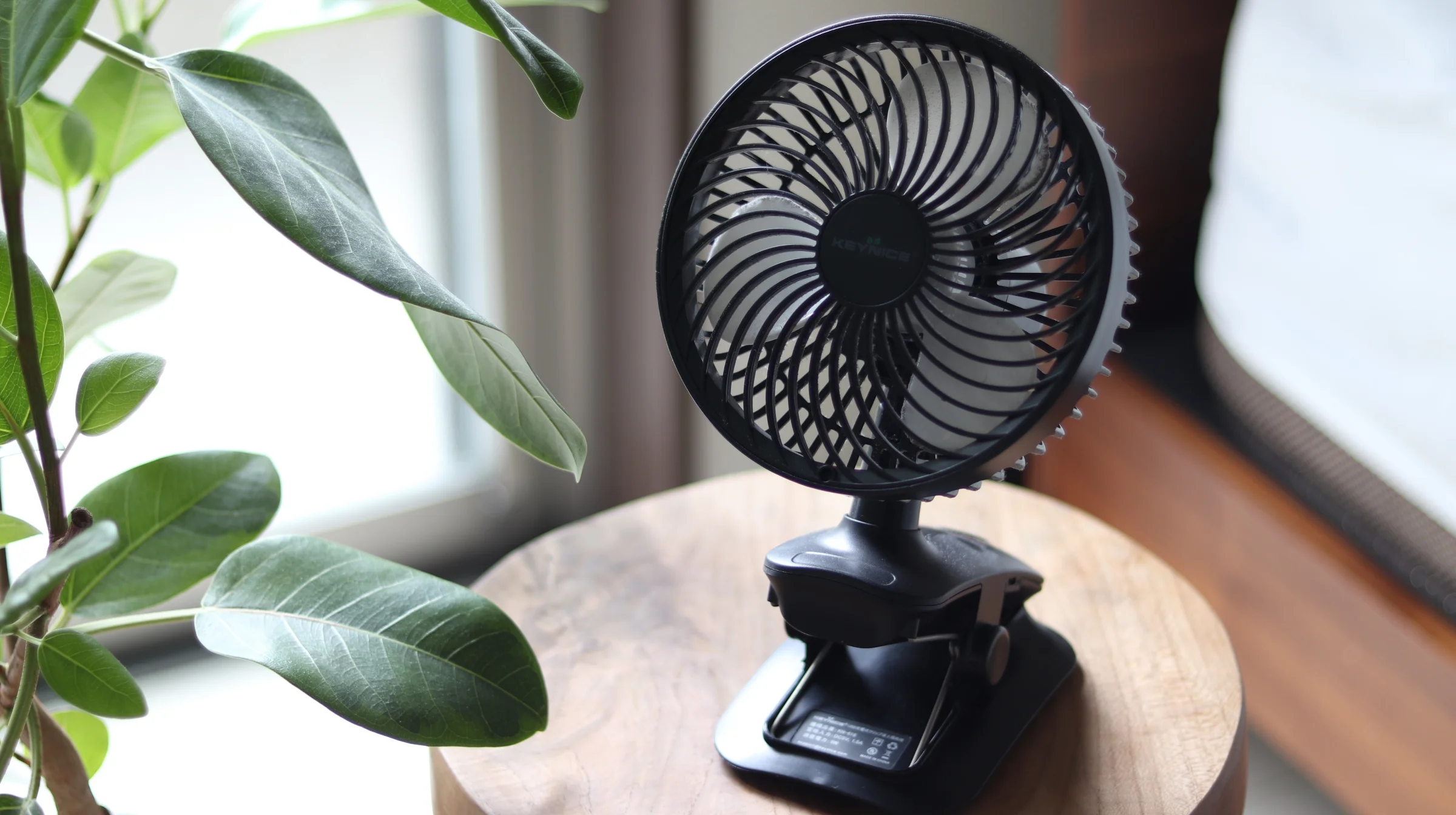 アガベと塊根植物におすすめのサーキュレーターはコレ！『keynice USB