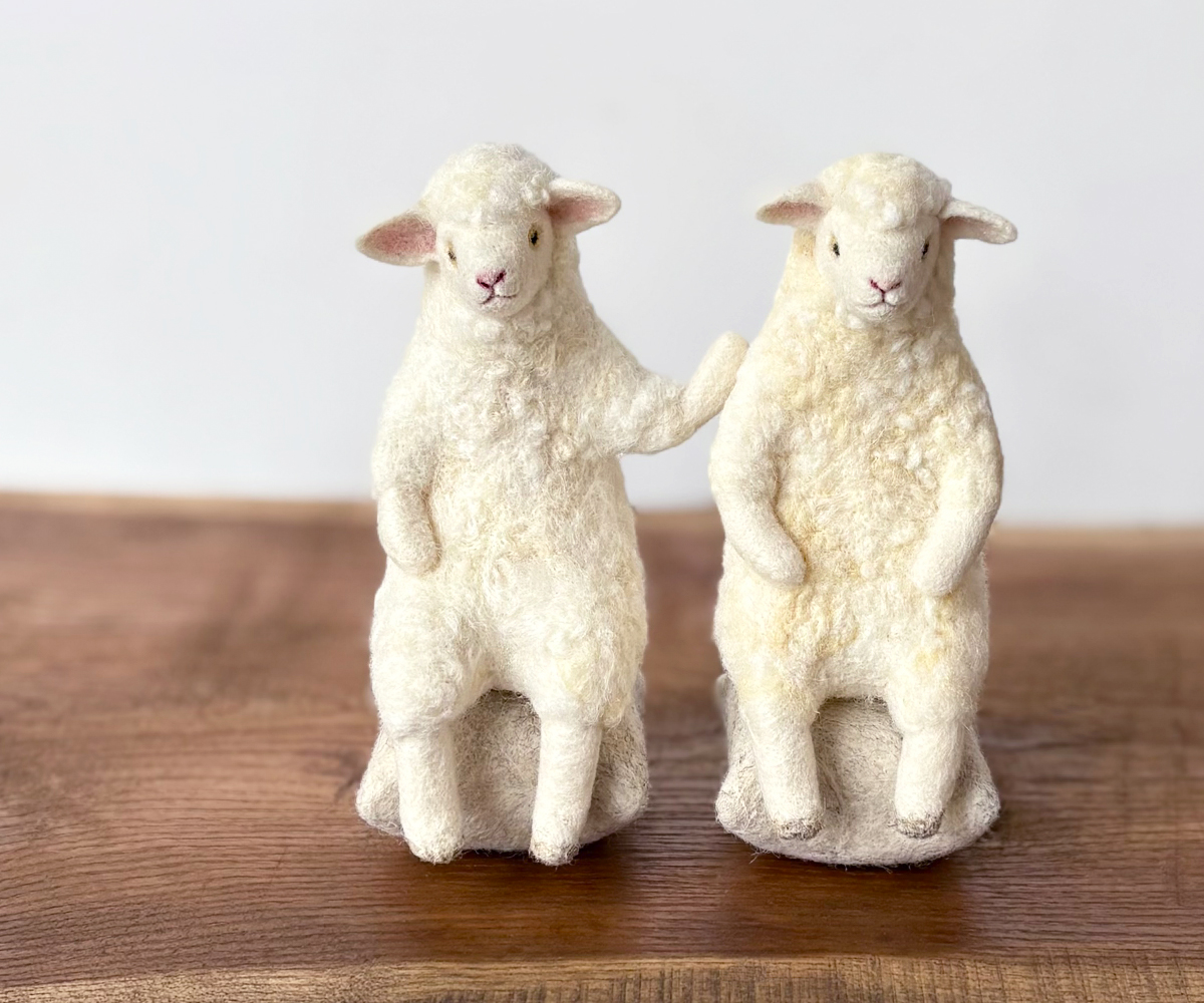 白いもふもふ展 2025.3/15(sat)〜4/6(sun) JAMPOT(Osaka) | ヒツジ