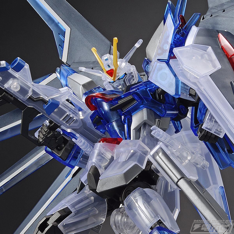 機動戦士ガンダムSEED FREEDOM』特別仕様のガンプラ「HG ライジング