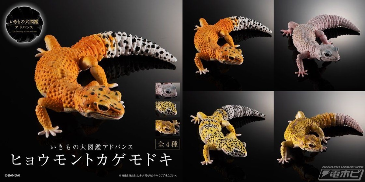 いきもの大図鑑」のハイグレードモデルシリーズからヒョウモン