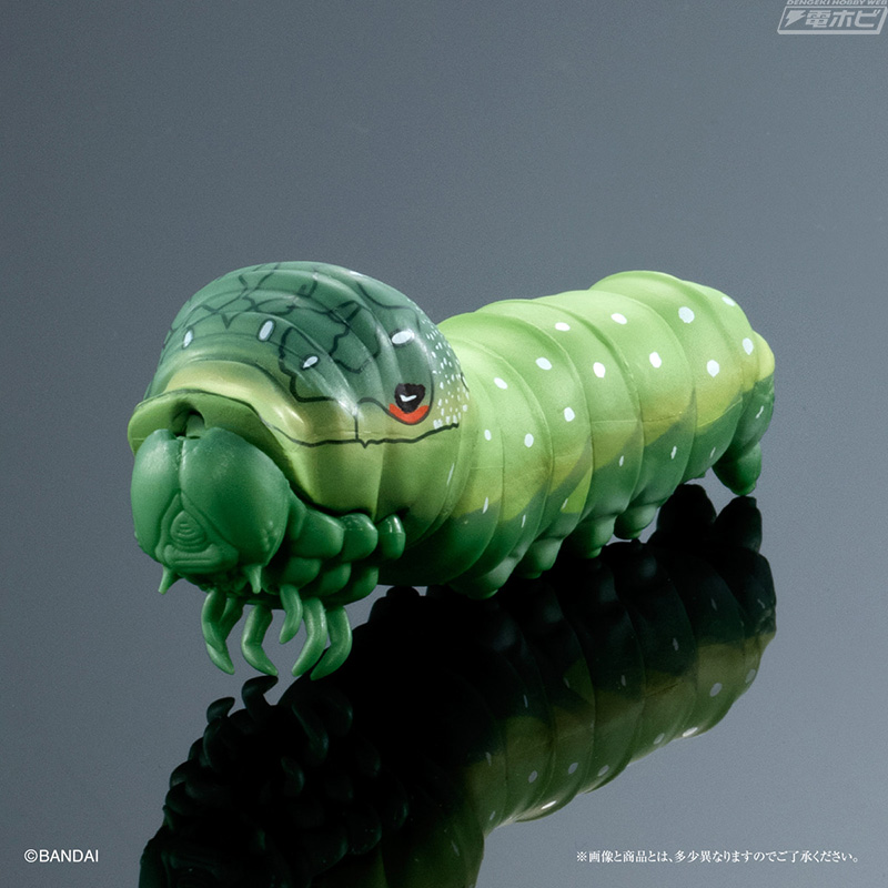 角がウサギの耳のようで可愛い「オオムラサキの幼虫」を収録