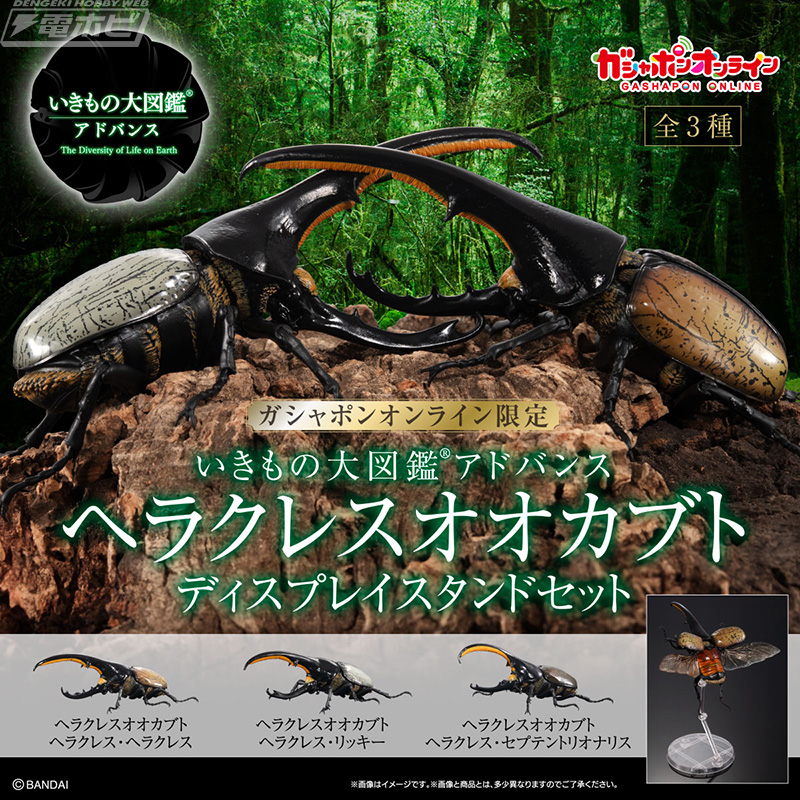 ヘラクレスオオカブトが大型サイズの完全フル可動モデルとなって