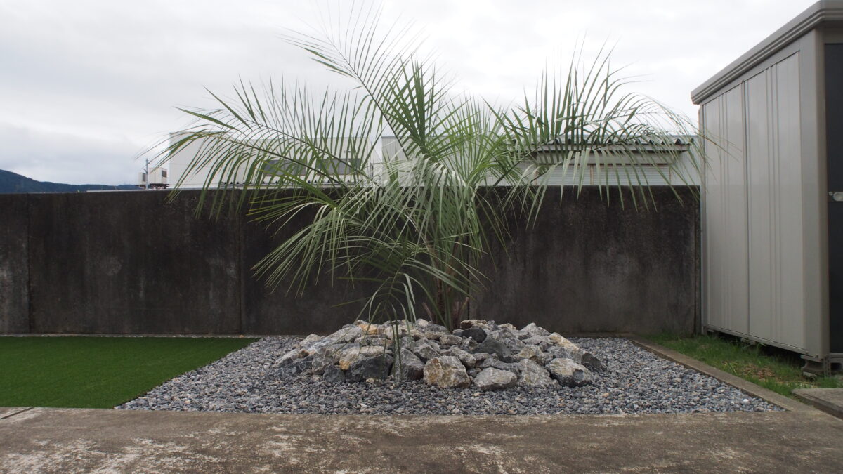 ココスヤシと景石を用いたロックガーデン | 施工事例｜Draw:Garden