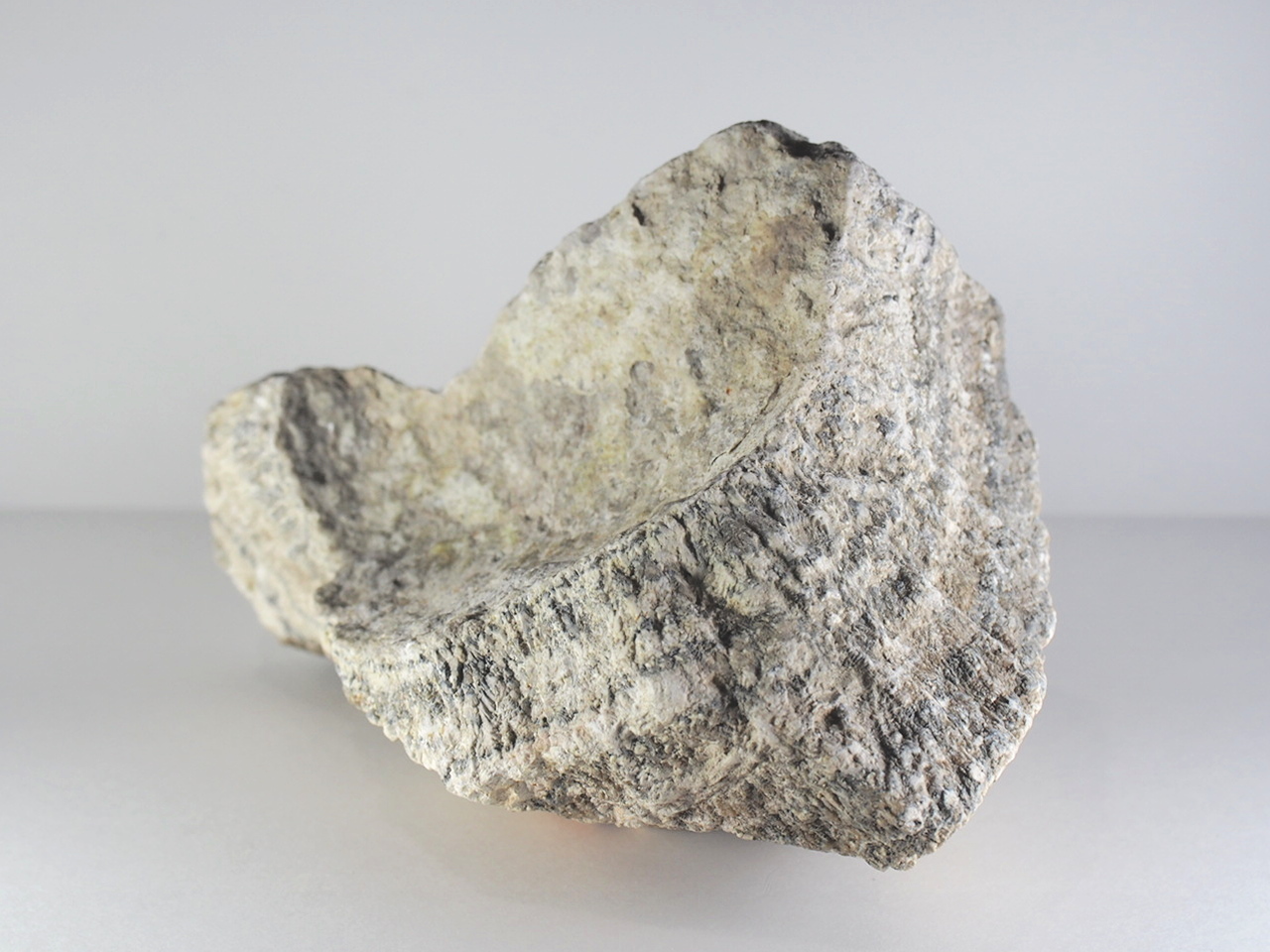 玉川産北投石専門店 洸石玉川産北投石専門店 洸石 - 焼山石 販売・卸