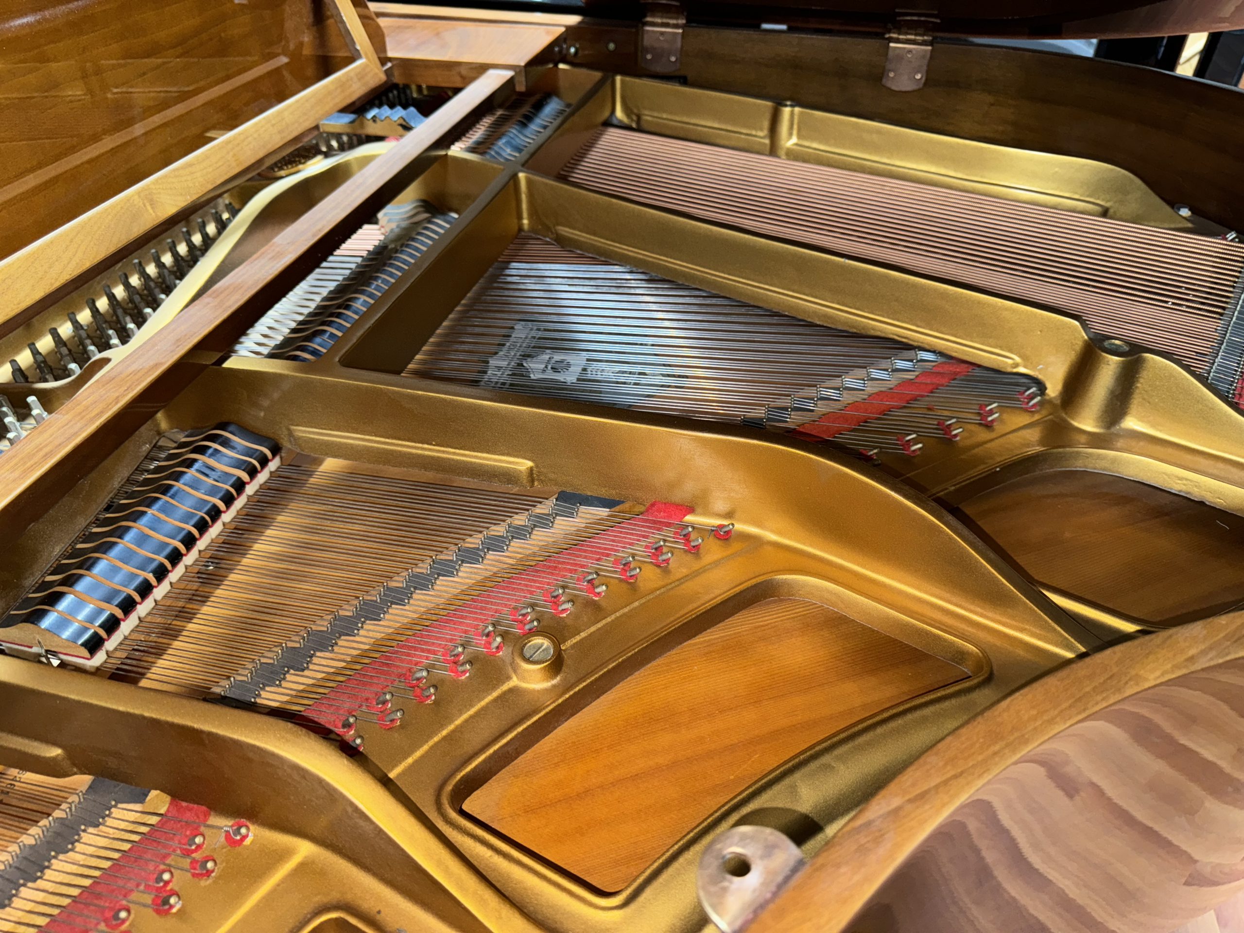 Sojin PG-1 - Hollywood Piano - Los Angeles, CA