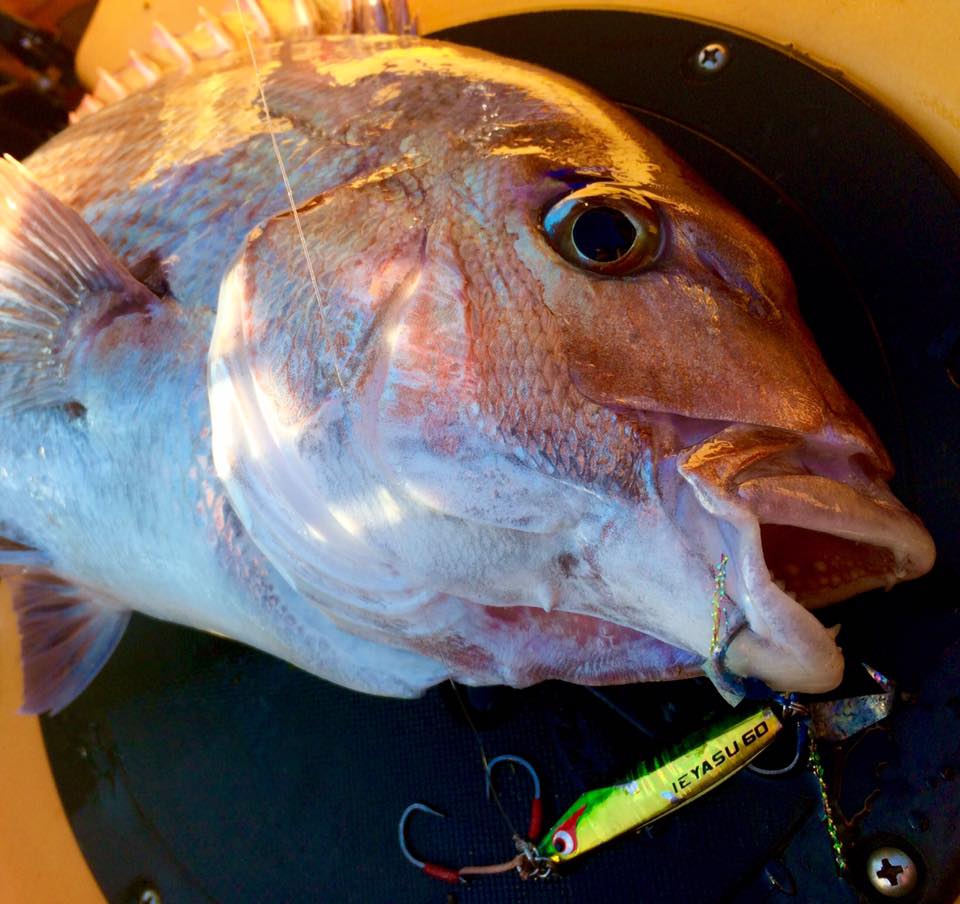 ボーズレス TG イエヤス タングステン/60g - ホシノ釣具店オンライン