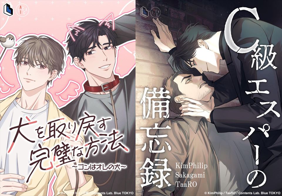 韓国BL 恋愛制限区域 日刊アルバ 完全12枚セット 訪問カード 韓国BL