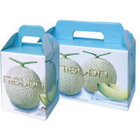 信和 ルミナスメロン 1ヶ入 (100入) 600403 | 資材の激安販売なら包装