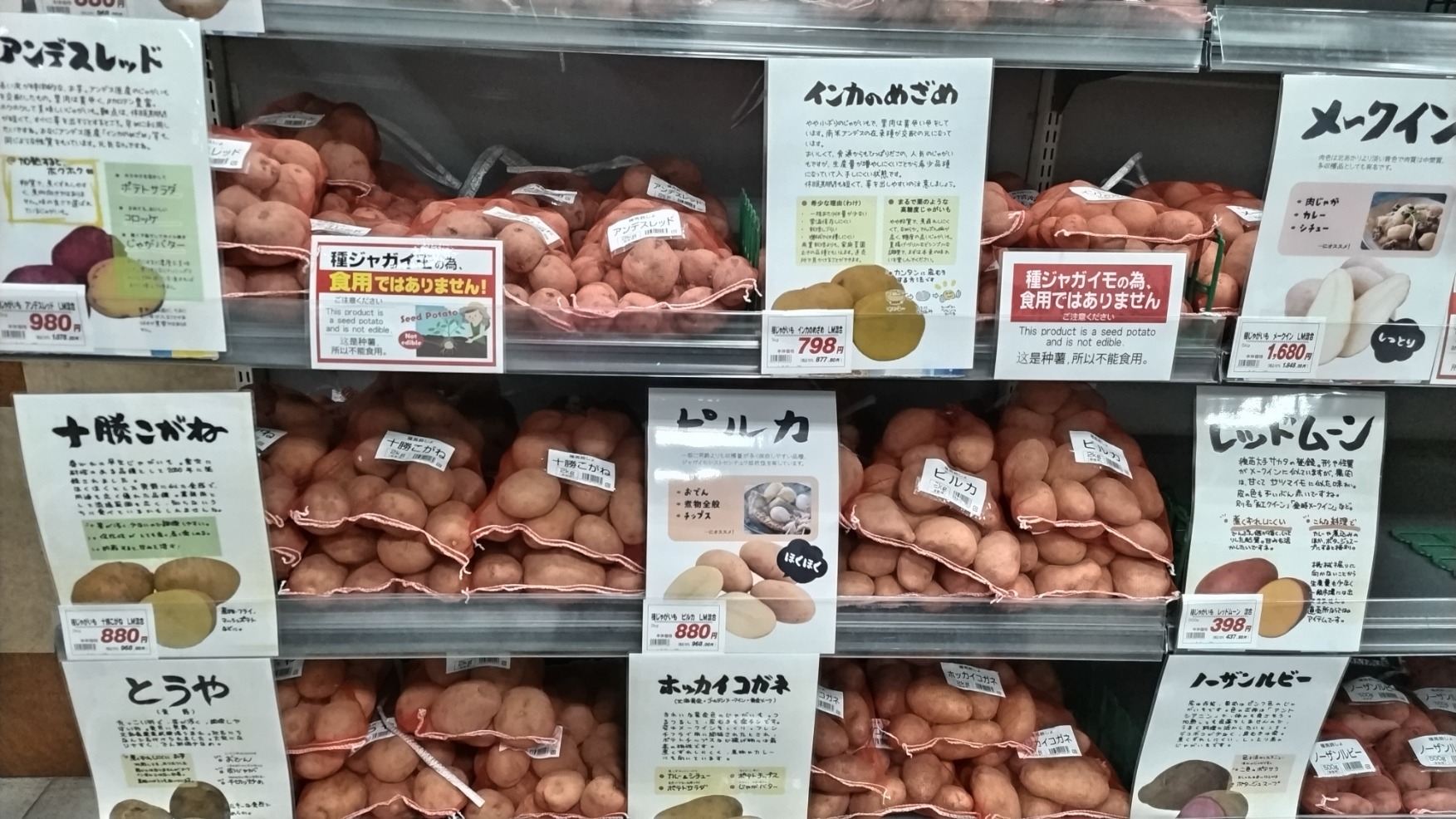 種芋（ジャガイモ）入荷しました(^^♪｜ブログ｜上中店｜PLANT公式