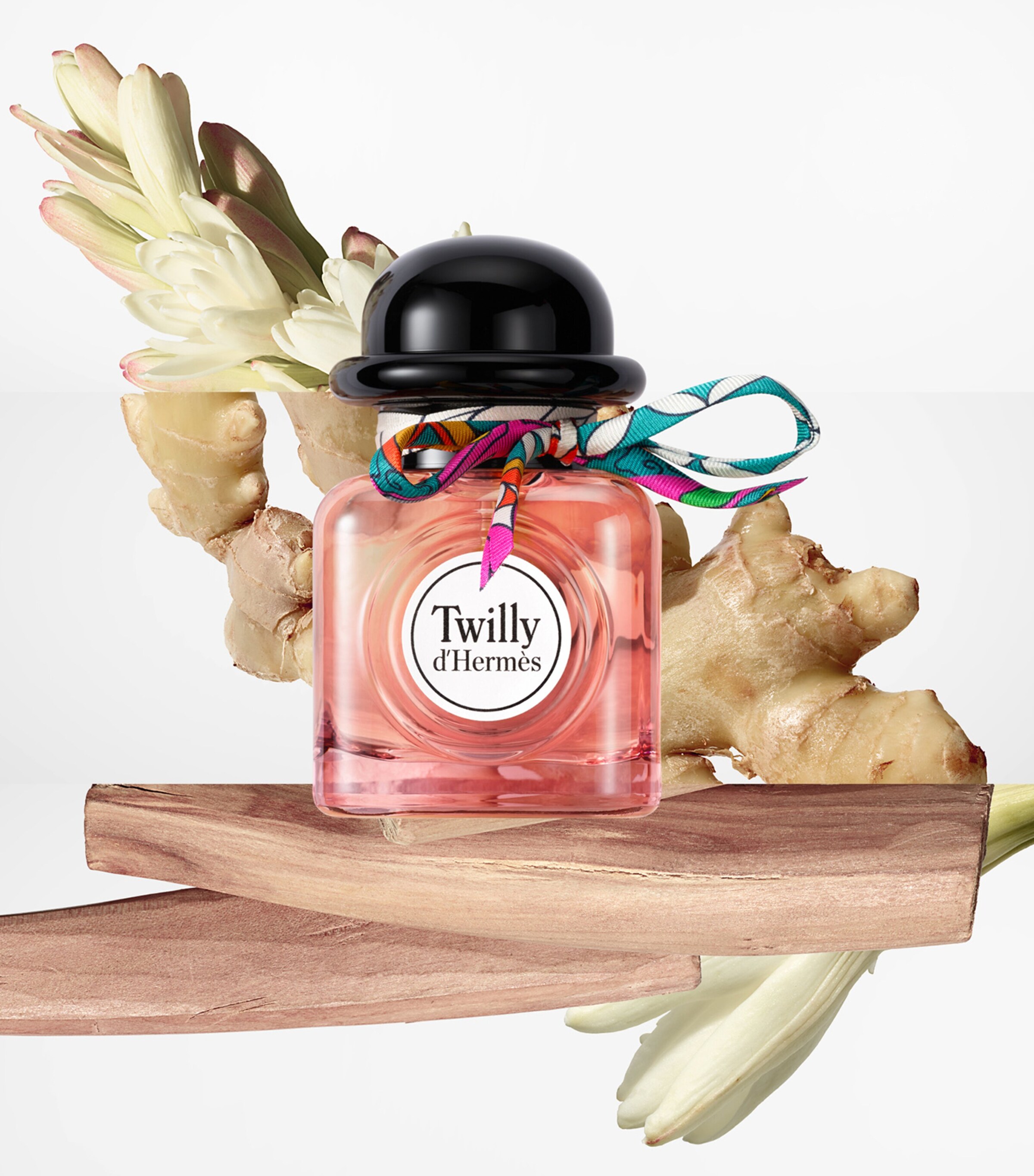 未使用品ショッパー付きTwilly d'Hermès コフレ 未使用品ショッパー