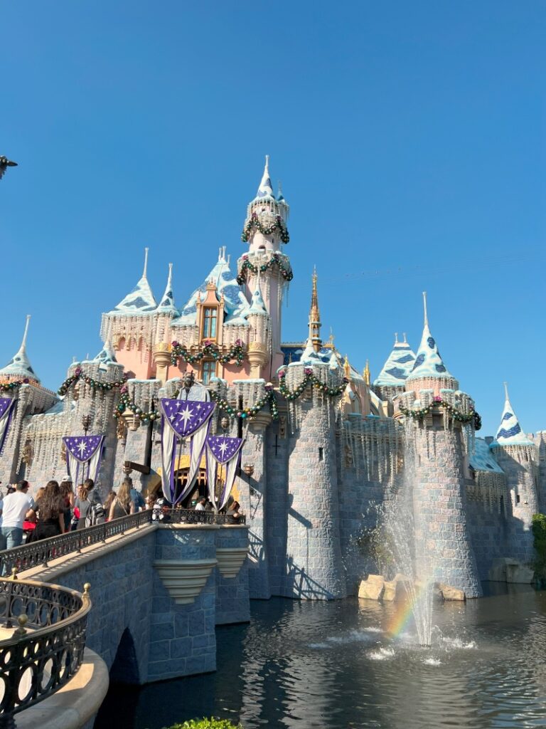 FRASERDESING 眠れる森の美女 ディズニー レトロ シンデレラ城モデル