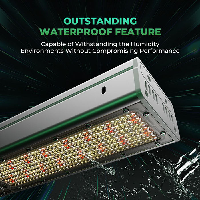 Mars Hydro SP 3000 300W LED Grow Light for Indoor Cultivation