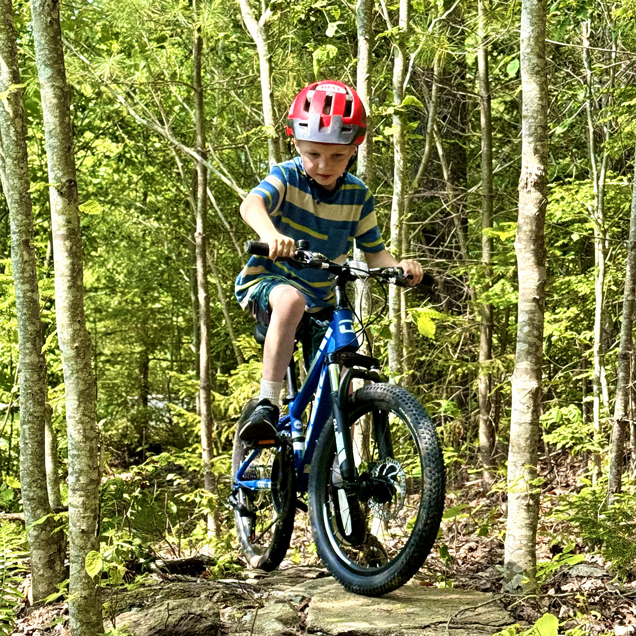 3ac914d7-5f25-4677-a5d0-