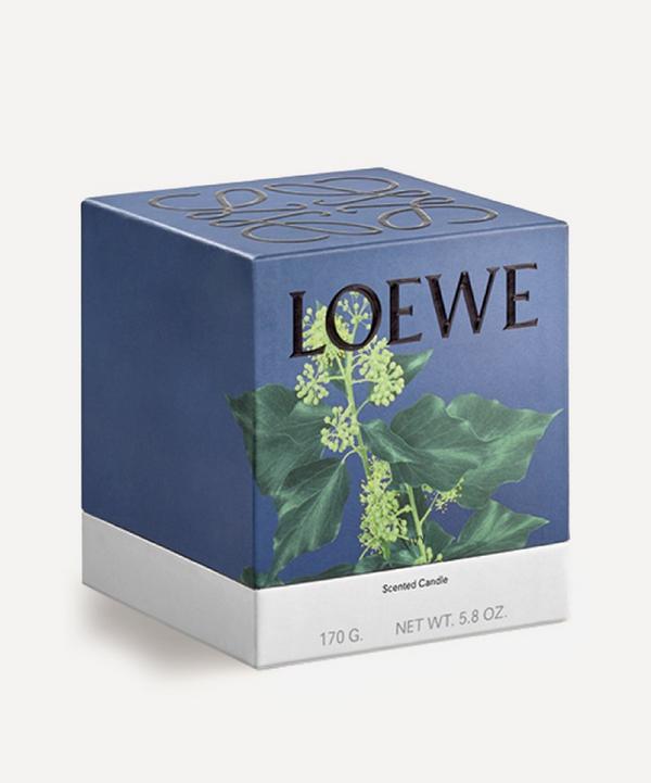 Loewe Small Ivy Candle 170g | Liberty