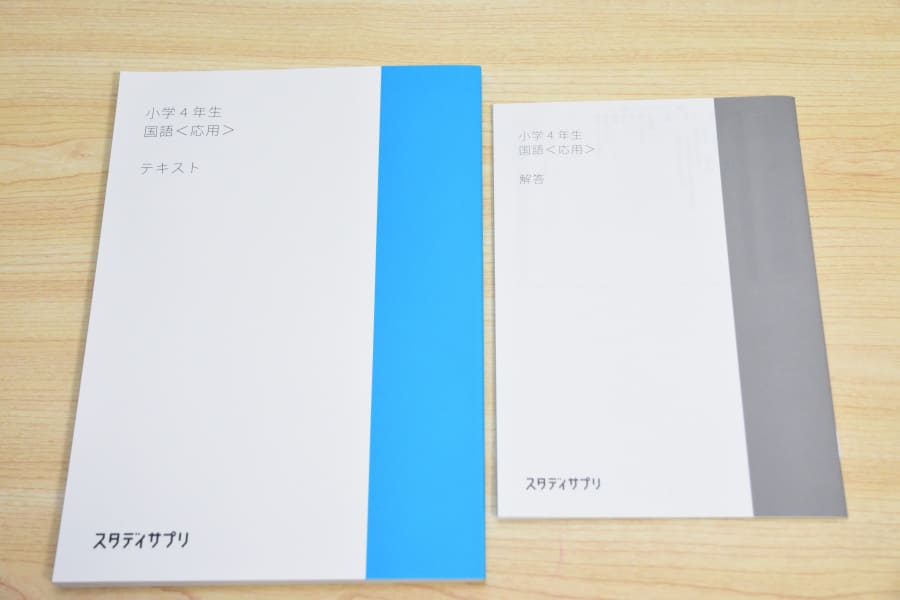 スタディサプリテキスト買うべき教科は？ダウンロード印刷の方が安い